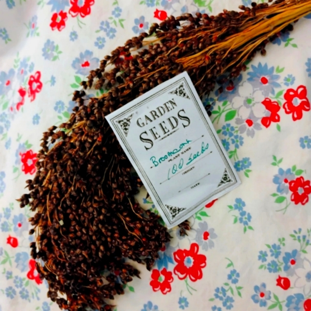 Packets Of Broom Corn Seeds